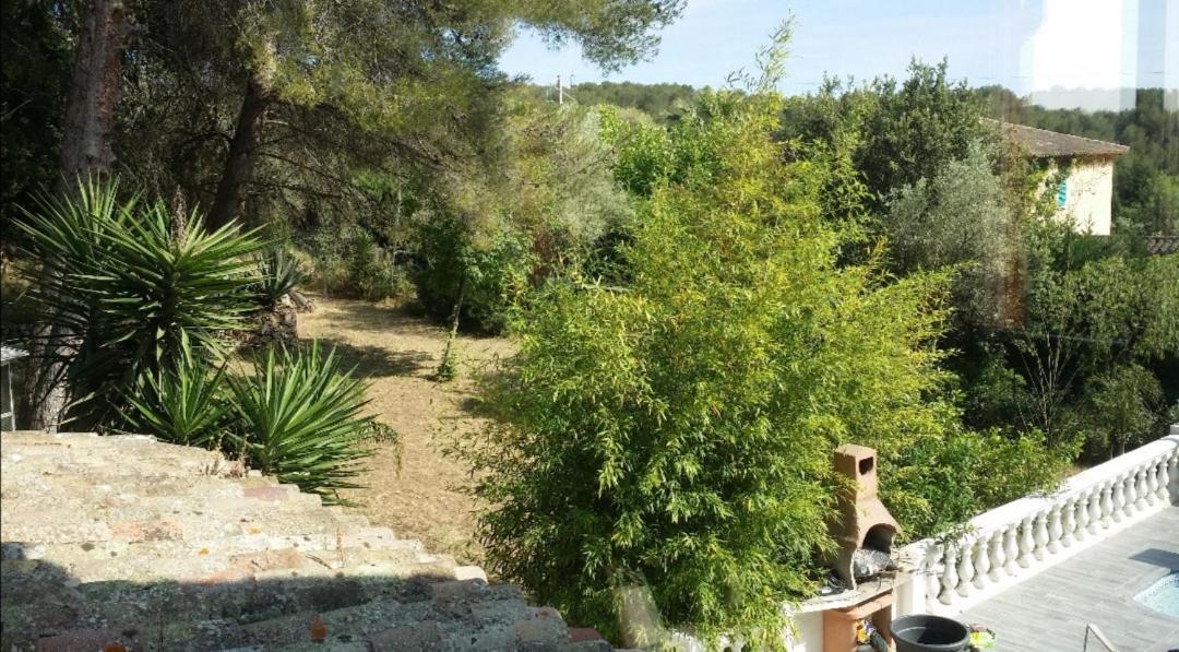 Appartement Pinede Man Yelle Sanary-sur-Mer Buitenkant foto